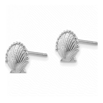 14K White Gold Scallop Shell Stud Earrings – view 3