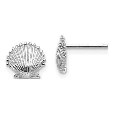 14K White Gold Scallop Shell Stud Earrings