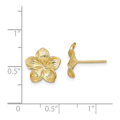 14K Yellow Gold Textured Plumeria Flower Stud Earrings – view 5