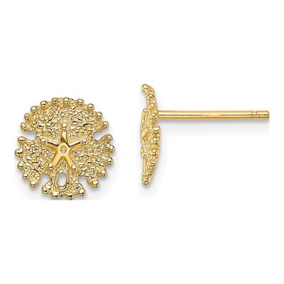 14K Yellow Gold Textured Sand Dollar Stud Earrings
