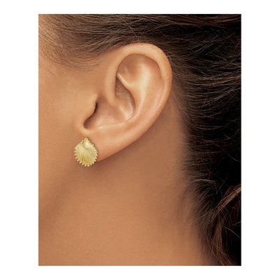 14K Yellow Gold Scallop Shell Stud Earrings – view 4