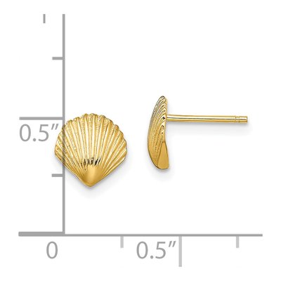 14K Yellow Gold Scallop Shell Stud Earrings – view 5