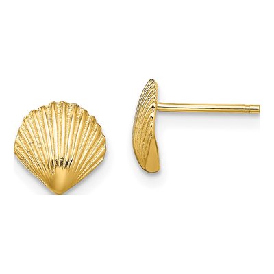 14K Yellow Gold Scallop Shell Stud Earrings