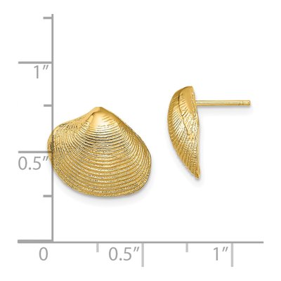 14K Yellow Gold Clam Shell Stud Earrings – view 5