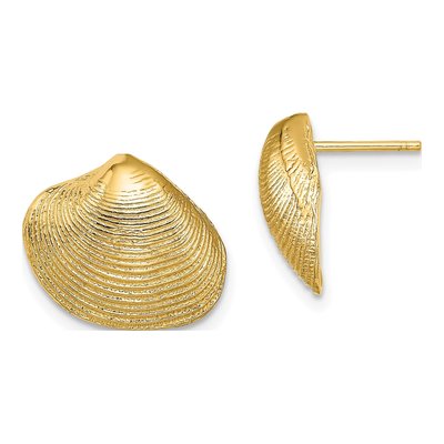 14K Yellow Gold Clam Shell Stud Earrings
