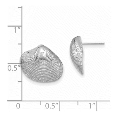 14K White Gold Clam Shell Stud Earrings – view 4