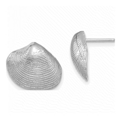 14K White Gold Clam Shell Stud Earrings