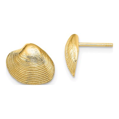 14K Yellow Gold Clam Shell Stud Earrings
