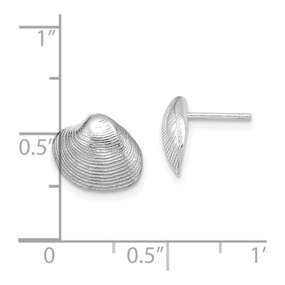 14K White Gold Clam Shell Stud Earrings – view 5