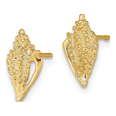 14K Yellow Gold Mini Conch Shell Stud Earrings – view 3