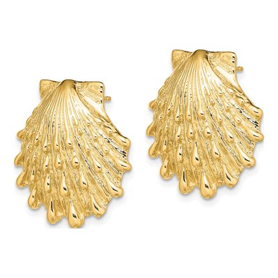 14K Yellow Gold Lion's Paw Shell Stud Earrings – view 3