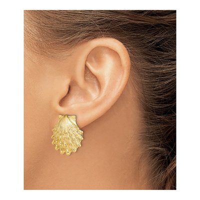 14K Yellow Gold Lion's Paw Shell Stud Earrings – view 4