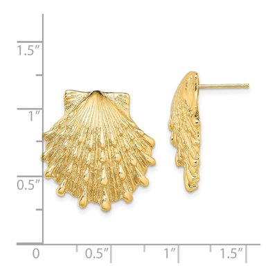 14K Yellow Gold Lion's Paw Shell Stud Earrings – view 5