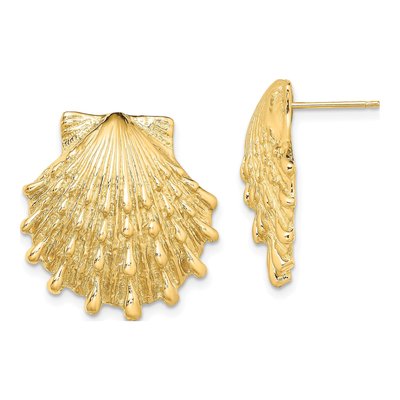 14K Yellow Gold Lion's Paw Shell Stud Earrings