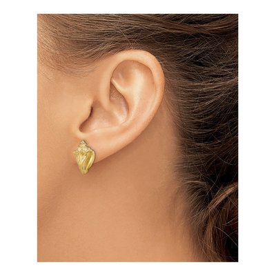 14K Yellow Gold Conch Shell Stud Earrings – view 4