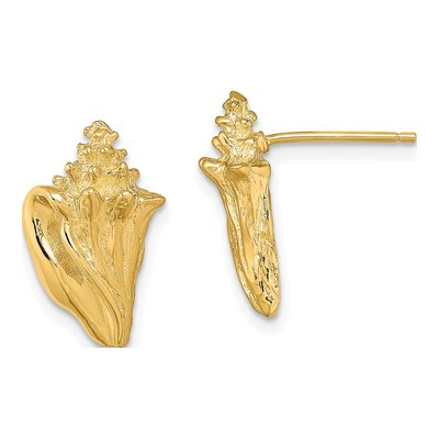 14K Yellow Gold Conch Shell Stud Earrings