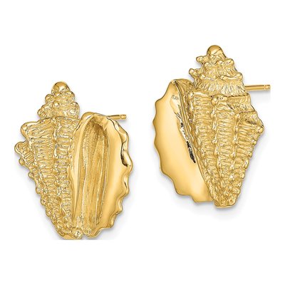 14K Yellow Gold 3-D Conch Shell Stud Earrings – view 3