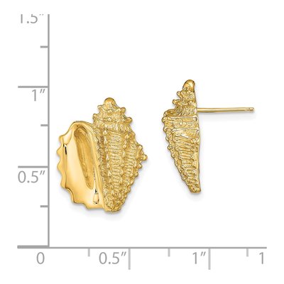14K Yellow Gold 3-D Conch Shell Stud Earrings – view 5