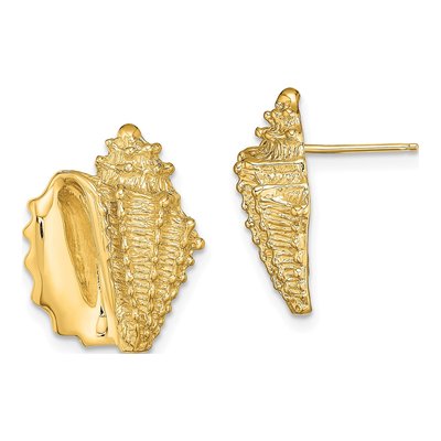 14K Yellow Gold 3-D Conch Shell Stud Earrings