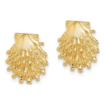 14K Yellow Gold Lion's Paw Shell Stud Earrings – view 3