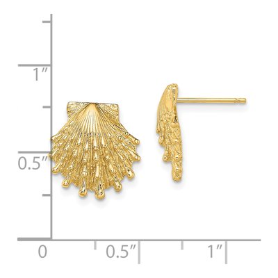 14K Yellow Gold Lion's Paw Shell Stud Earrings – view 5