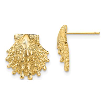14K Yellow Gold Lion's Paw Shell Stud Earrings