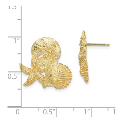 14K Yellow Gold Sand Dollar Cluster Stud Earrings – view 5