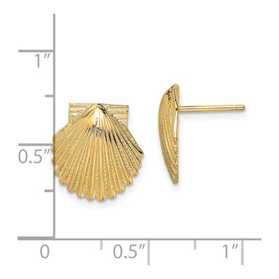 14K Yellow Gold Scallop Shell Stud Earrings – view 5