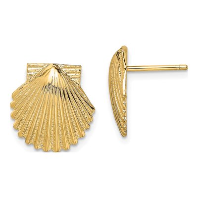 14K Yellow Gold Scallop Shell Stud Earrings