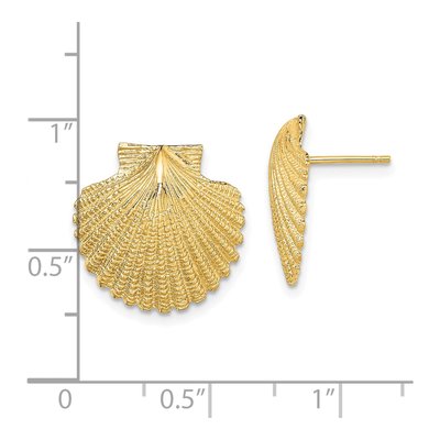 14K Yellow Gold Textured Scallop Shell Stud Earrings – view 5