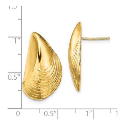 14K Yellow Gold Mussel Shell Stud Earrings – view 5