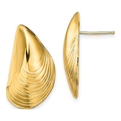14K Yellow Gold Mussel Shell Stud Earrings
