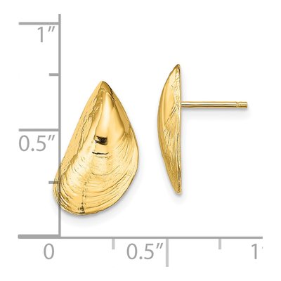 14K Yellow Gold Mussel Shell Stud Earrings – view 5