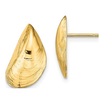 14K Yellow Gold Mussel Shell Stud Earrings