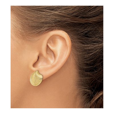 14K Yellow Gold Textured Clam Shell Stud Earrings – view 4