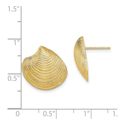 14K Yellow Gold Textured Clam Shell Stud Earrings – view 5