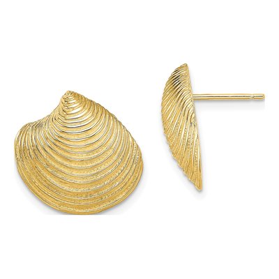 14K Yellow Gold Textured Clam Shell Stud Earrings
