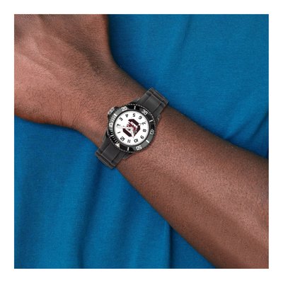 University of South Carolina Logo Watch – view 3
