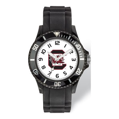 University of South Carolina Logo Watch