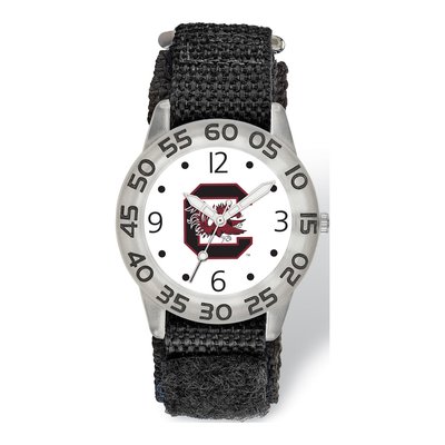 University of South Carolina Kids' Fan Watch – view 2