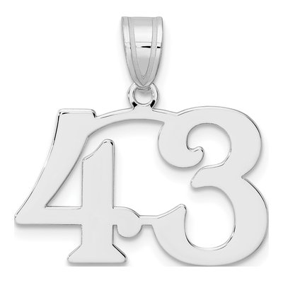 14K White Gold Number 43 Pendant