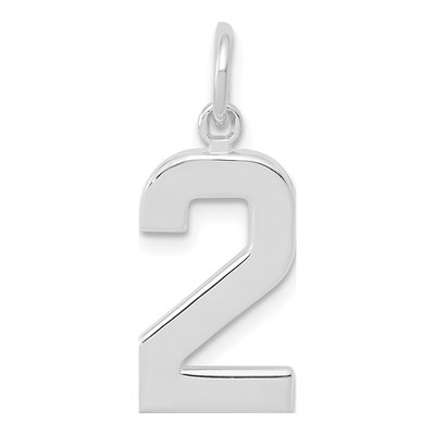 14K White Gold Number 2 Charm