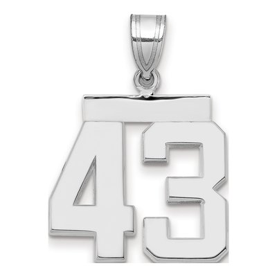 14K White Gold Number 43 Charm
