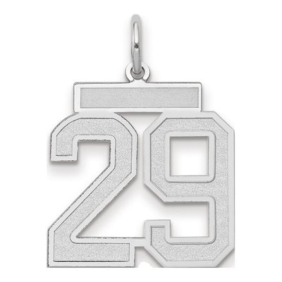 14K White Gold Number 29 Charm
