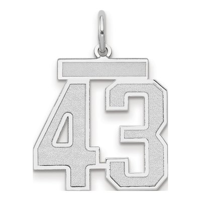 14K White Gold Number 43 Pendant