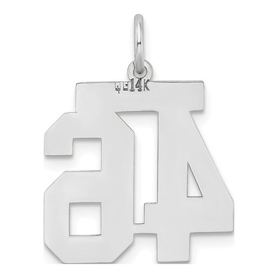14K White Gold Number 46 Charm – view 3