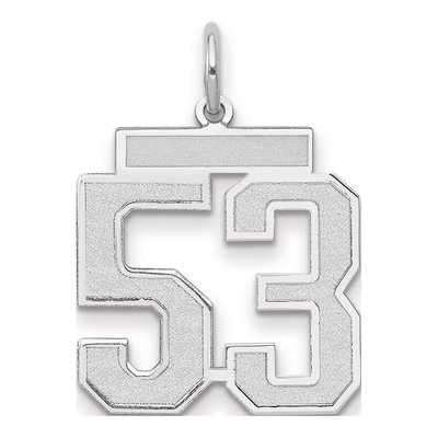 14K White Gold Number 53 Charm