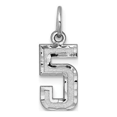 14K White Gold Small Number 5 Charm