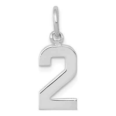 14K White Gold Small Number 2 Pendant