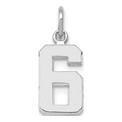 14K White Gold Small Number 6 Pendant
